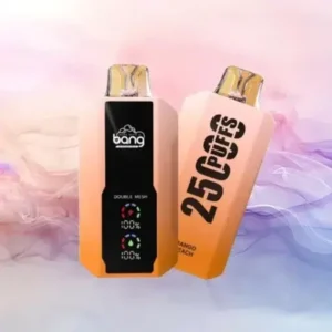 Alternative view of BANG 25000 PUFFS 大容量一次性電子煙（歐美爆款、可充電版、現貨）